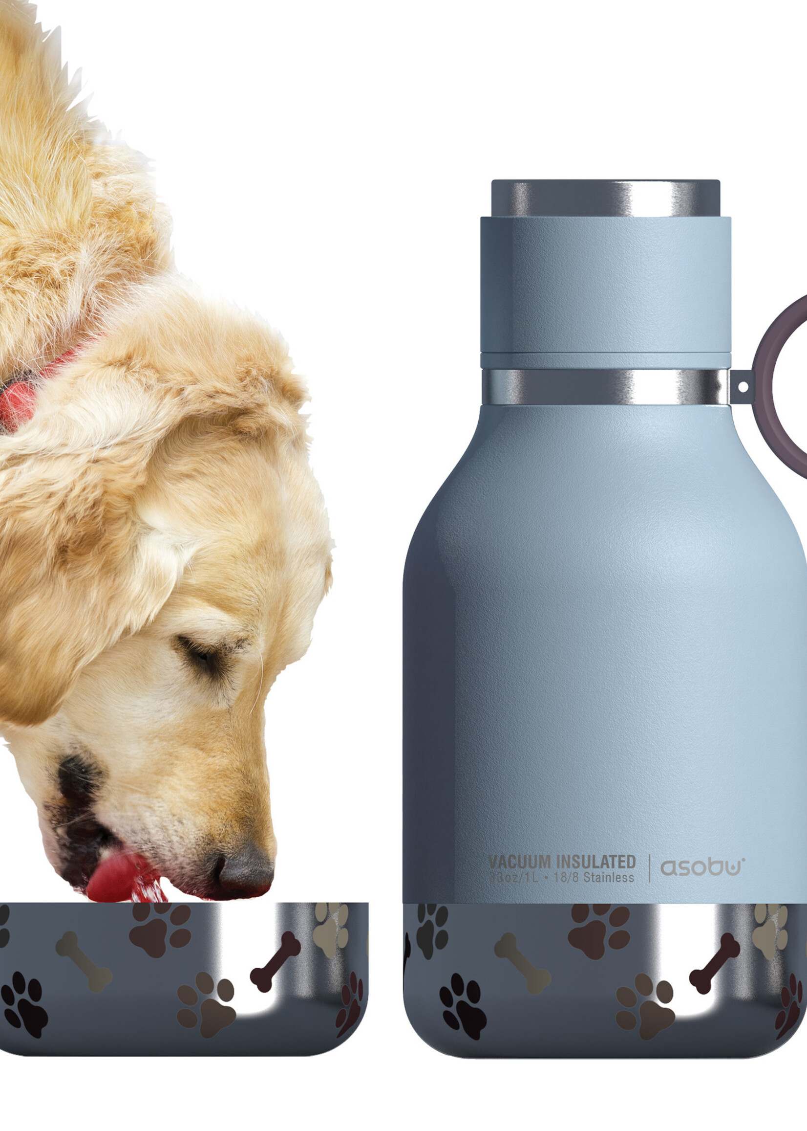 Asobu Dog Bowl Bottle Stainless