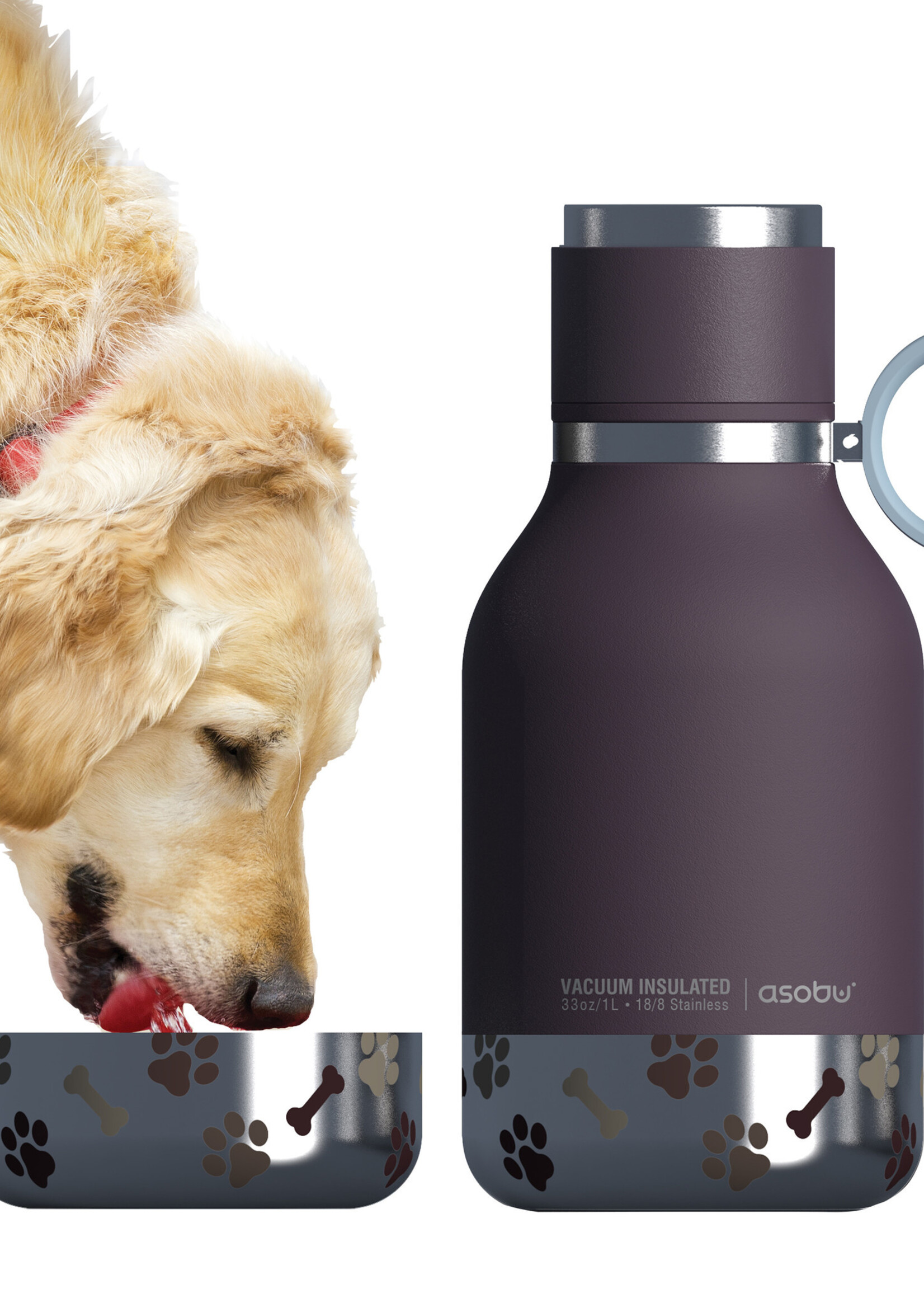 Asobu Dog Bowl Bottle Stainless
