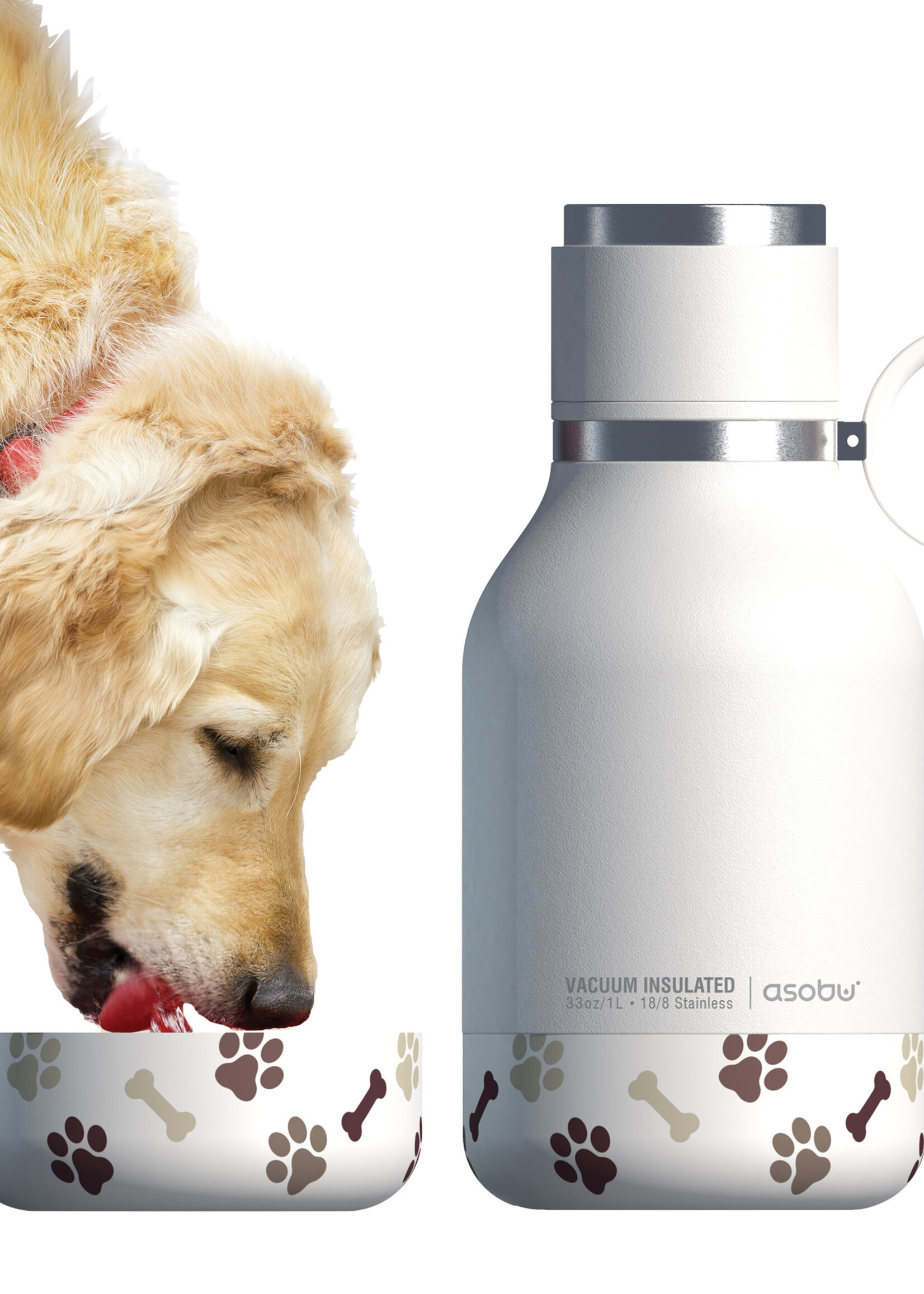 Asobu Dog Bowl Bottle Stainless