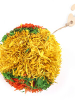 Happy Pet Bright Corny Pompom
