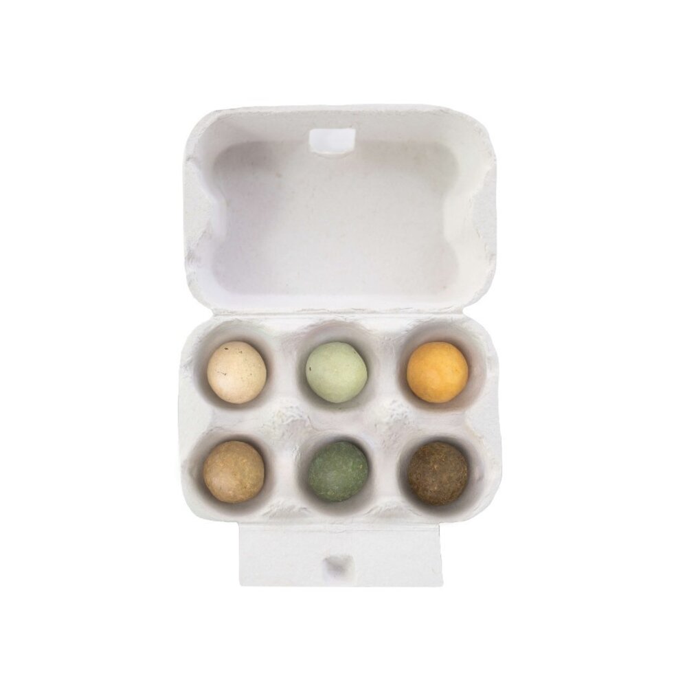 Eggbox Saatgutkugeln - 6 Stück