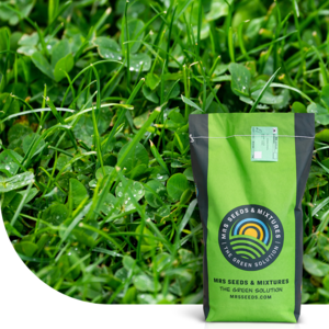MRS Seeds & Mixtures Clover Lawn - Grassamen mit Mikroklee