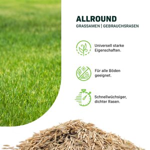 MRS Seeds & Mixtures Allround - Grassamen | Gebrauchsrasen