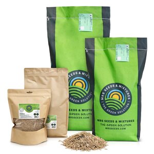MRS Seeds & Mixtures Allround - Grassamen | Gebrauchsrasen