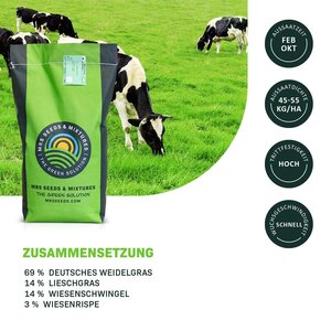 MRS Seeds & Mixtures Graze - Dauergrünland 11 | Weidemischung