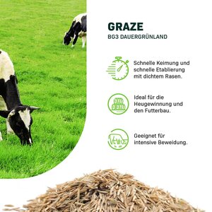 MRS Seeds & Mixtures Graze -  BG3 Dauergrünland 15KG