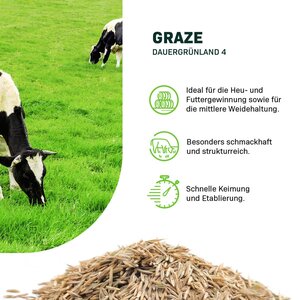 MRS Seeds & Mixtures Graze - Dauergrünland 4 - 15KG