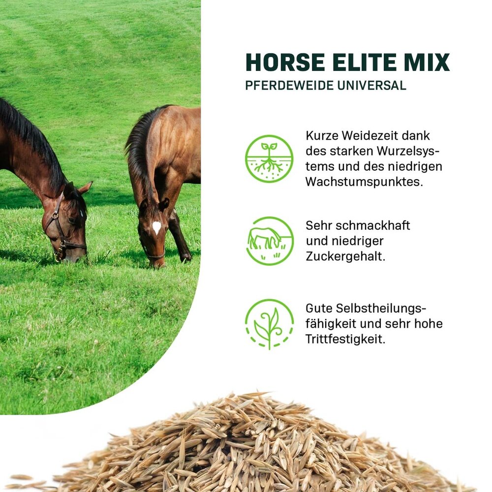 Horse - Elite mix | Pferdeweide Universal