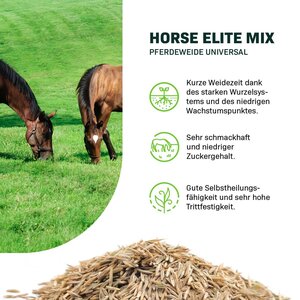 MRS Seeds & Mixtures Horse - Elite mix | Pferdeweide Universal