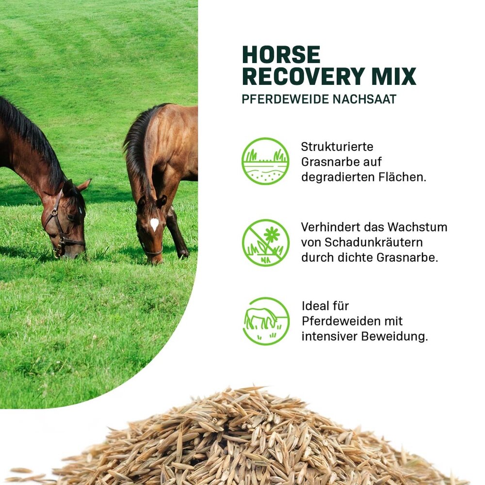 Horse - Recovery Mix | Pferdeweide Nachsaat