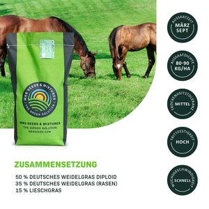 MRS Seeds & Mixtures Horse - Recovery Mix | Pferdeweide Nachsaat