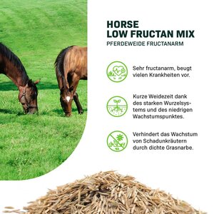 MRS Seeds & Mixtures Horse – Low Fructan mix | Pferdeweide