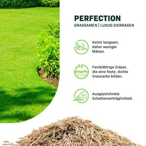MRS Seeds & Mixtures Green Perfection - Grassamen | Luxus-Zierrasen