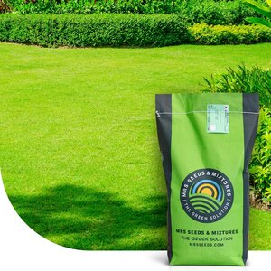 MRS Seeds & Mixtures Green Perfection - Grassamen | Luxus-Zierrasen