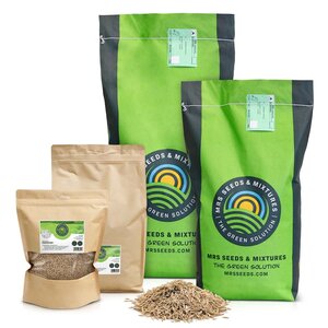 MRS Seeds & Mixtures Green Perfection - Grassamen | Luxus-Zierrasen