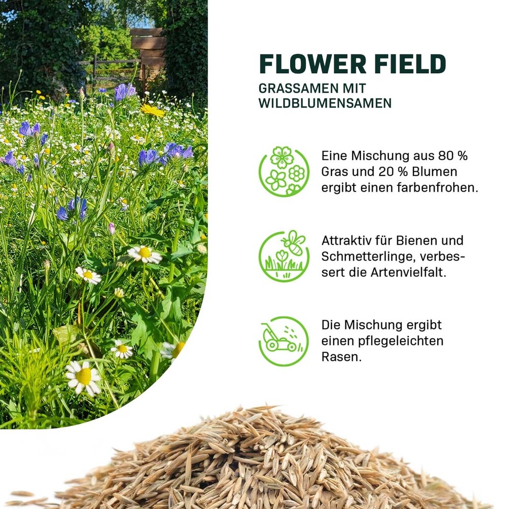 Flower Field - Grassamen mit Wildblumensamen
