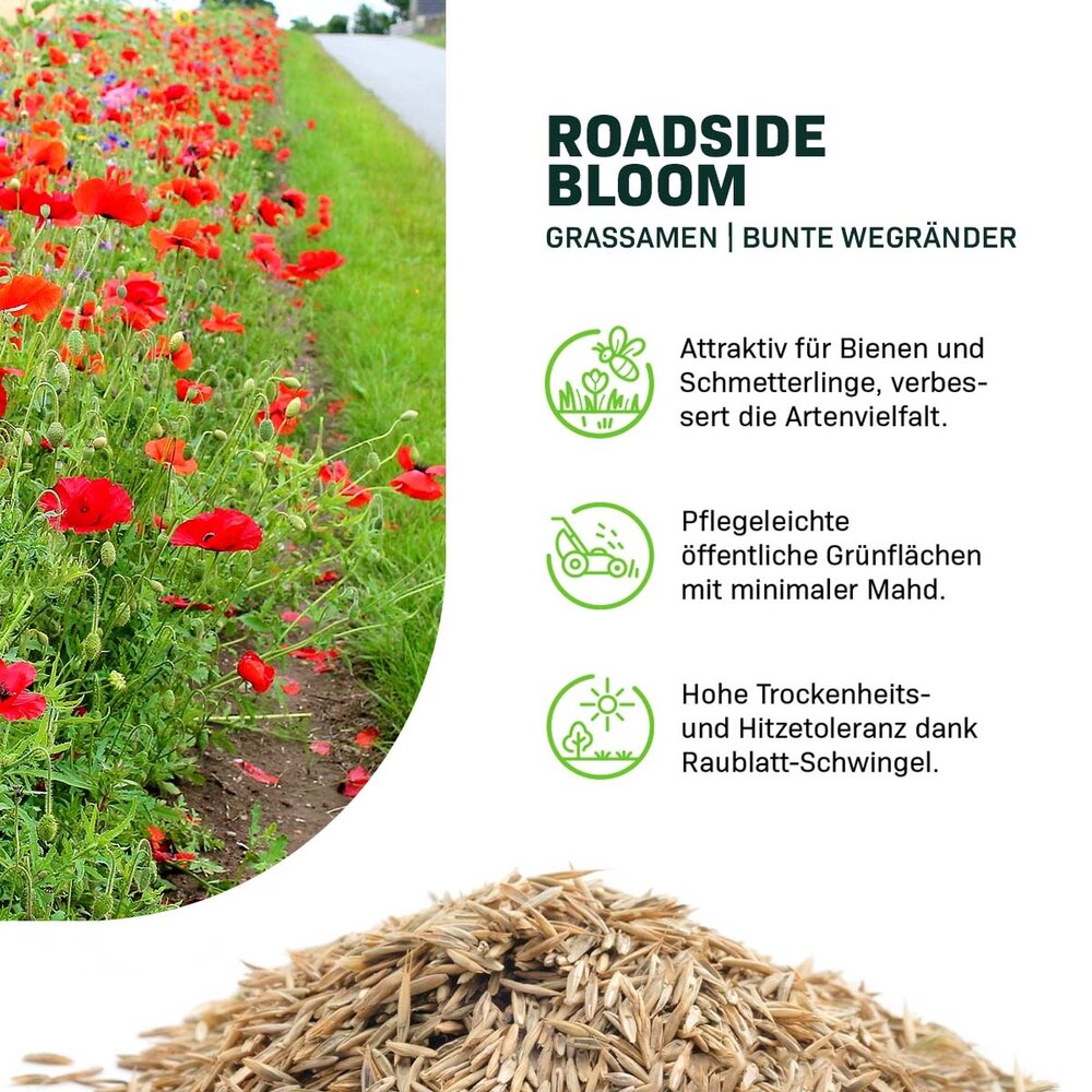Roadside Bloom - Grassamen | Farbenfrohe Wegränder