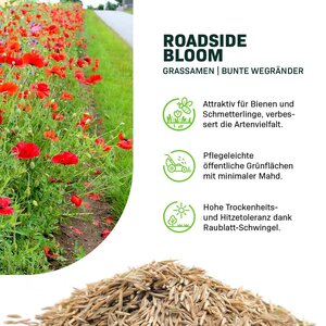 MRS Seeds & Mixtures Roadside Bloom - Grassamen | Farbenfrohe Wegränder