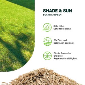 MRS Seeds & Mixtures Shade & Sun - Schattenrasen