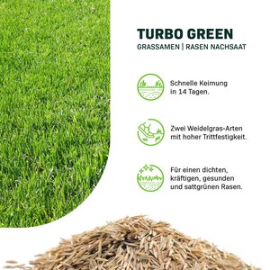 MRS Seeds & Mixtures Turbo Green - Grassamen | Rasen Nachsaat