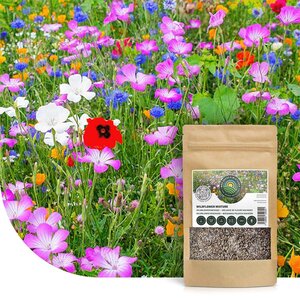 MRS Seeds & Mixtures Wildblumenmischung ein- und mehrjährig