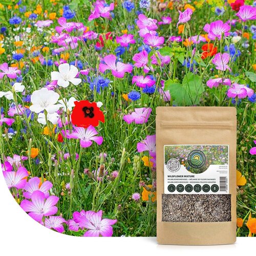 MRS Seeds & Mixtures Green Perfection - Grassamen | Luxus-Zierrasen