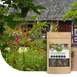 MRS Seeds & Mixtures Englischer Cottagegarten Blumenmischung