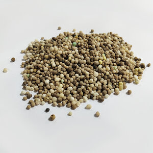 MRS Seeds & Mixtures Fall Protect - Rasendünger Herbst | 20KG-500m2 MRS Seeds & Mixtures Fall Protect - Rasendünger Herbst | 20KG-500m2