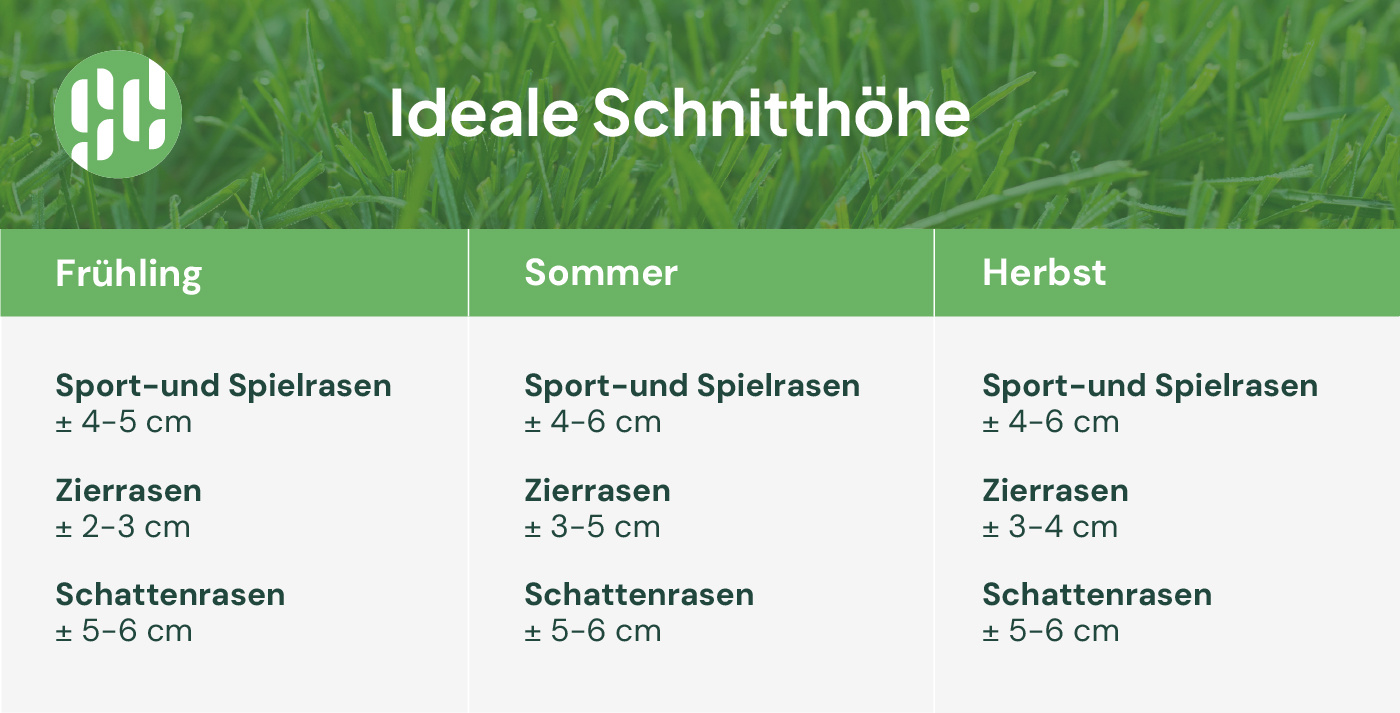 Schnitthöhe
