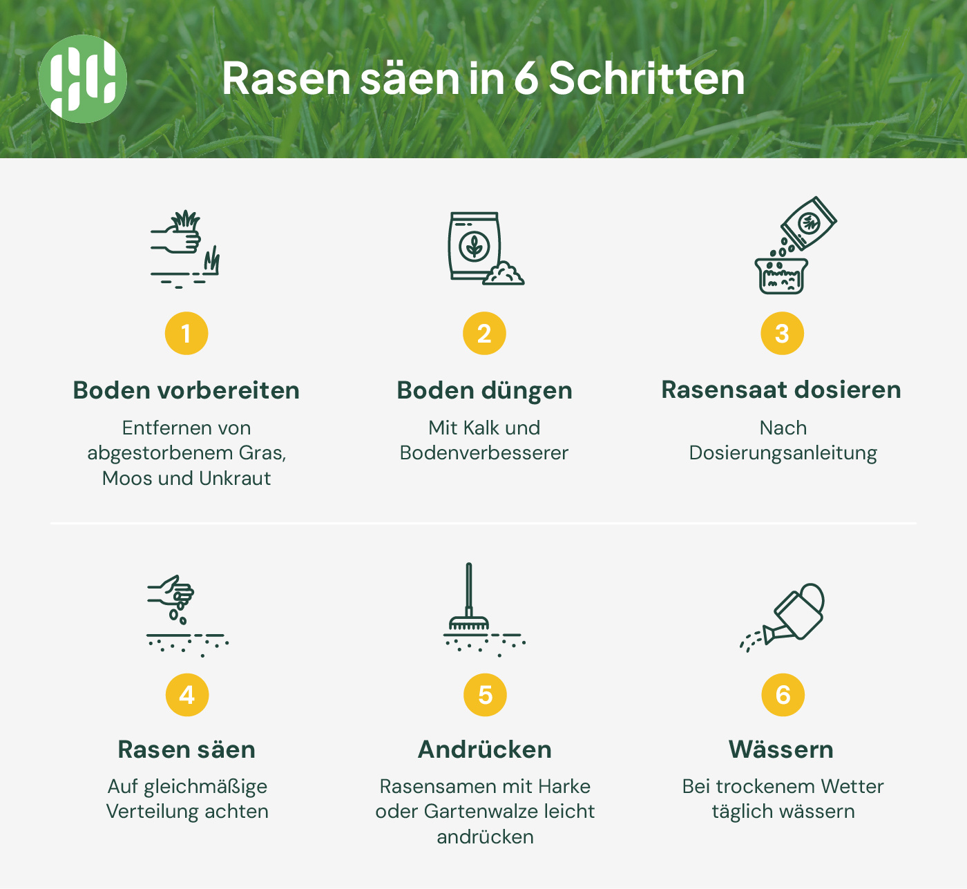 Rasen säen - 6 Schritte