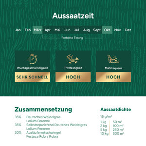 MRS Seeds & Mixtures Play & Sport - Rasensaat für einen Spielrasen 10 kg