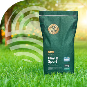 MRS Seeds & Mixtures Play & Sport - Rasensaat für einen Spielrasen 10 kg