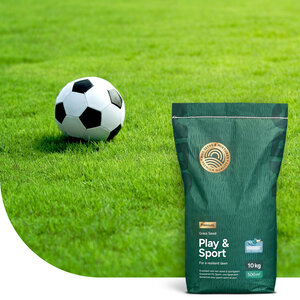 MRS Seeds & Mixtures Play & Sport - Rasensaat für einen Spielrasen 10 kg