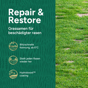 MRS Seeds & Mixtures Repair & Restore - Rasensamen Nachsaat 10 kg