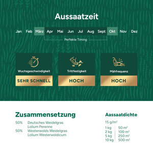 MRS Seeds & Mixtures Repair & Restore - Rasensamen Nachsaat 10 kg