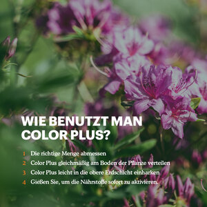 Joyfields Color Plus – Dünger für Rhodo, Hortensien und Azaleen
