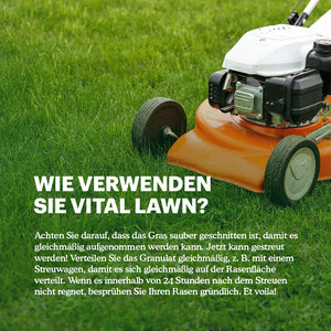 Joyfields Vital Lawn - Rasendünger mit Kalk