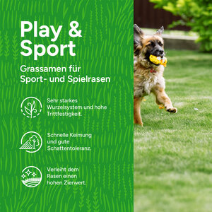 MRS Seeds & Mixtures Play & Sport - Sport- und Spielrasen