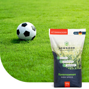 Sowgood Rasensamen Sport und Spiel 10 kg - 500 m²