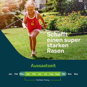 Sowgood Rasensamen für Schatten- und Trockenrasen 10 kg - 500 m²