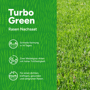 MRS Seeds & Mixtures Turbo Green - Grassamen | Rasen Nachsaat