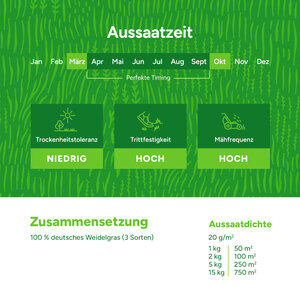 MRS Seeds & Mixtures Turbo Green - Grassamen | Rasen Nachsaat