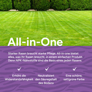 MRS Seeds & Mixtures All-In-One - Rasendünger mit Kalk | 20KG-500m2
