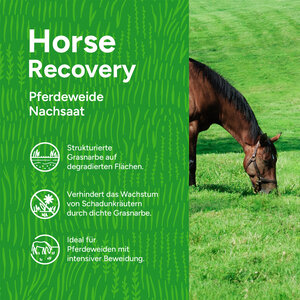 MRS Seeds & Mixtures Horse - Recovery Mix | Pferdeweide Nachsaat