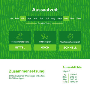 MRS Seeds & Mixtures Horse - Recovery Mix | Pferdeweide Nachsaat