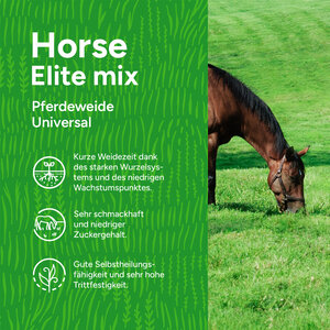 MRS Seeds & Mixtures Horse - Elite mix | Pferdeweide Universal