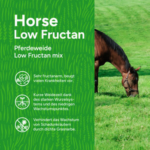 MRS Seeds & Mixtures Horse – Low Fructan mix | Pferdeweide