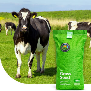 MRS Seeds & Mixtures Graze - Dauergrünland 4 - 15KG