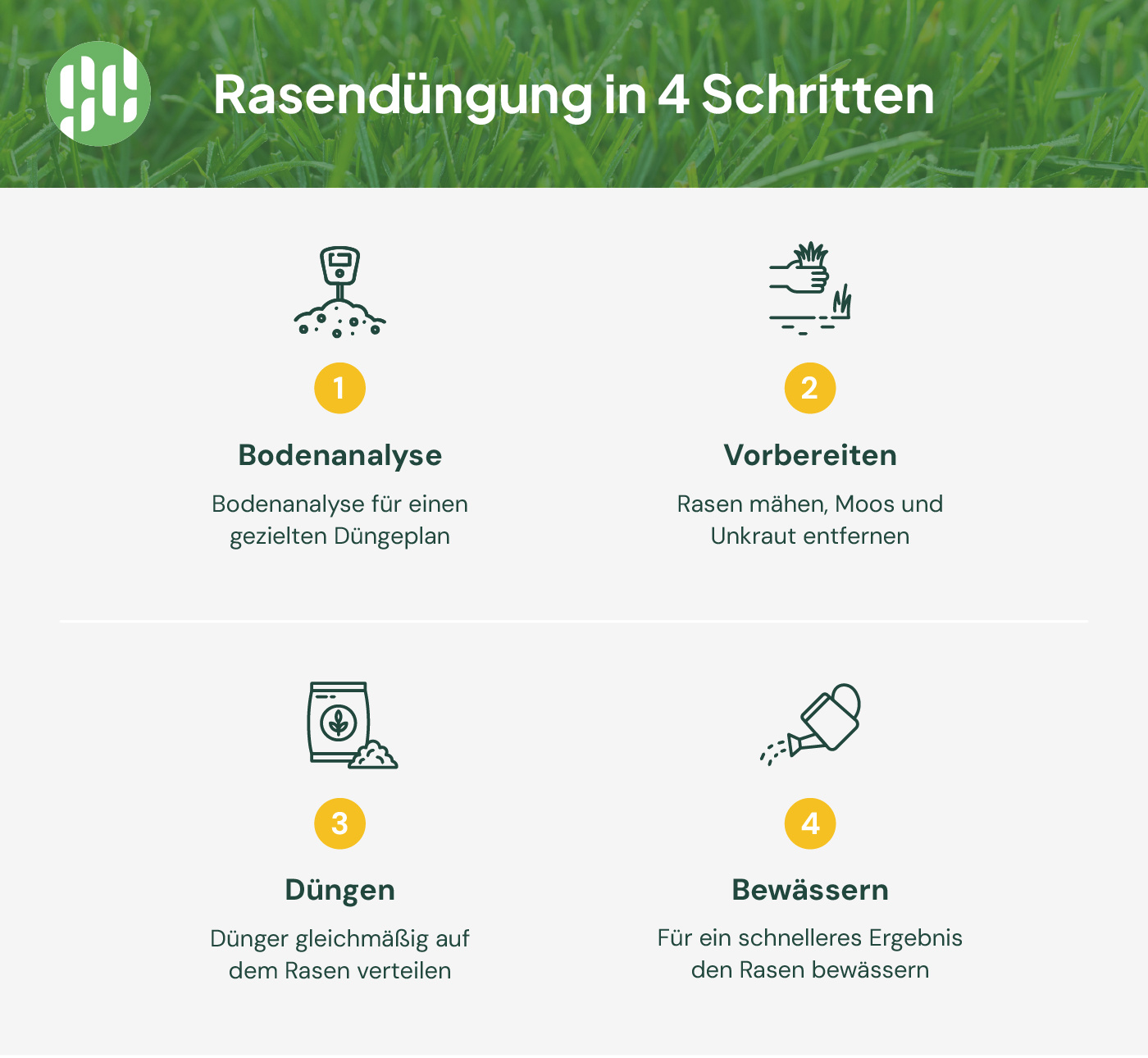 Rasen düngen in 4 Schritten