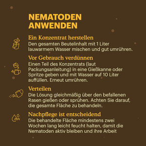 Joyfields Nematoden gegen Schnakenlarven (Steinernema carpocapsae)